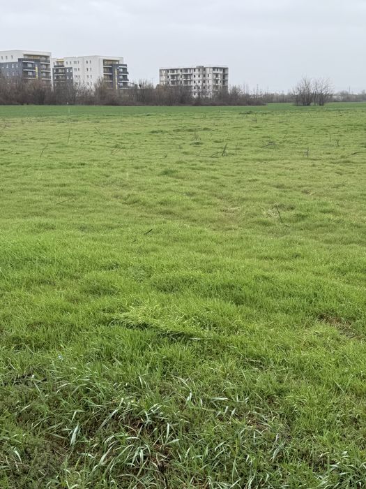Schimb teren 3000 mp Ploiesti cu autoturism.