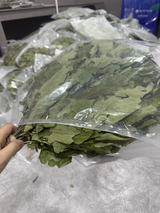 Веник для бани высший сорт дуба хватает на 2-3 парки тоненькие веточки