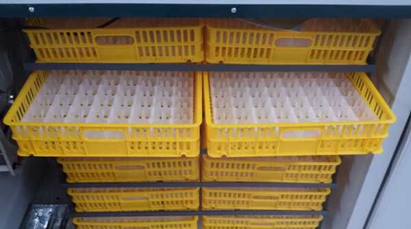 Incubator industrial automat UNITEH 2112 NOU Garanție 24 luni