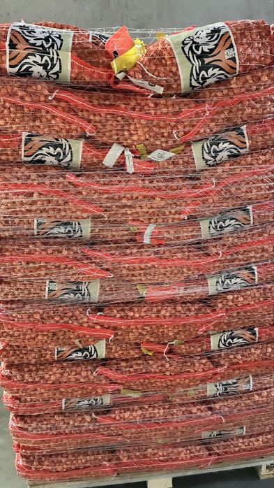 Top onion 14/17 arpagic