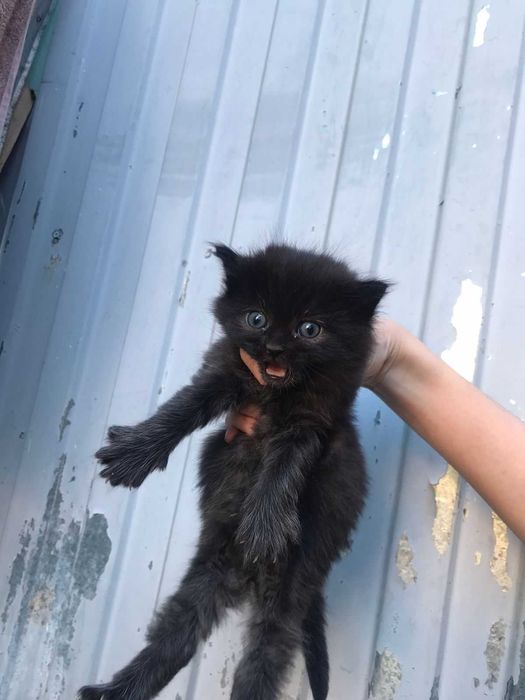 Жанка Уральск 86