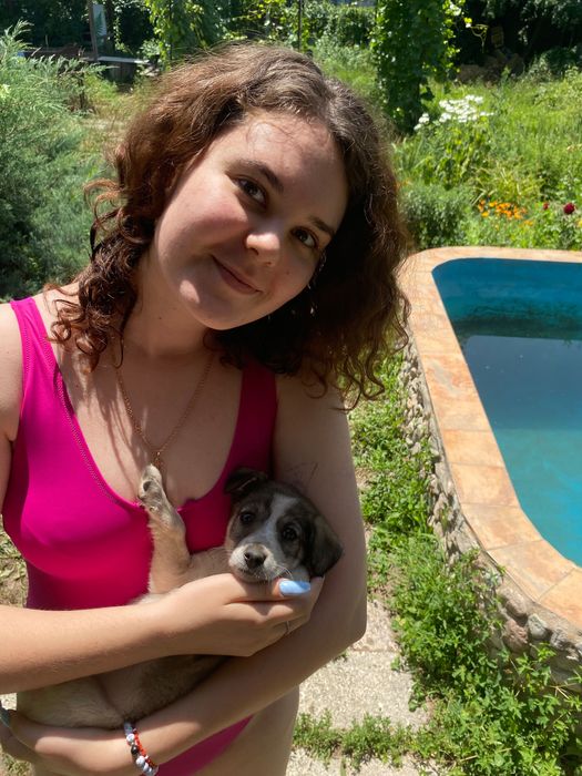 продам щеночков недорого