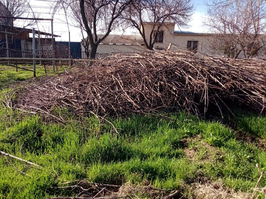 O'tin tekinga / Дрова бесплатно