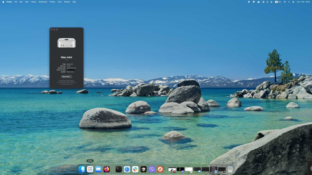 macmini Apple M4 16 GB RAM, 256 NVME