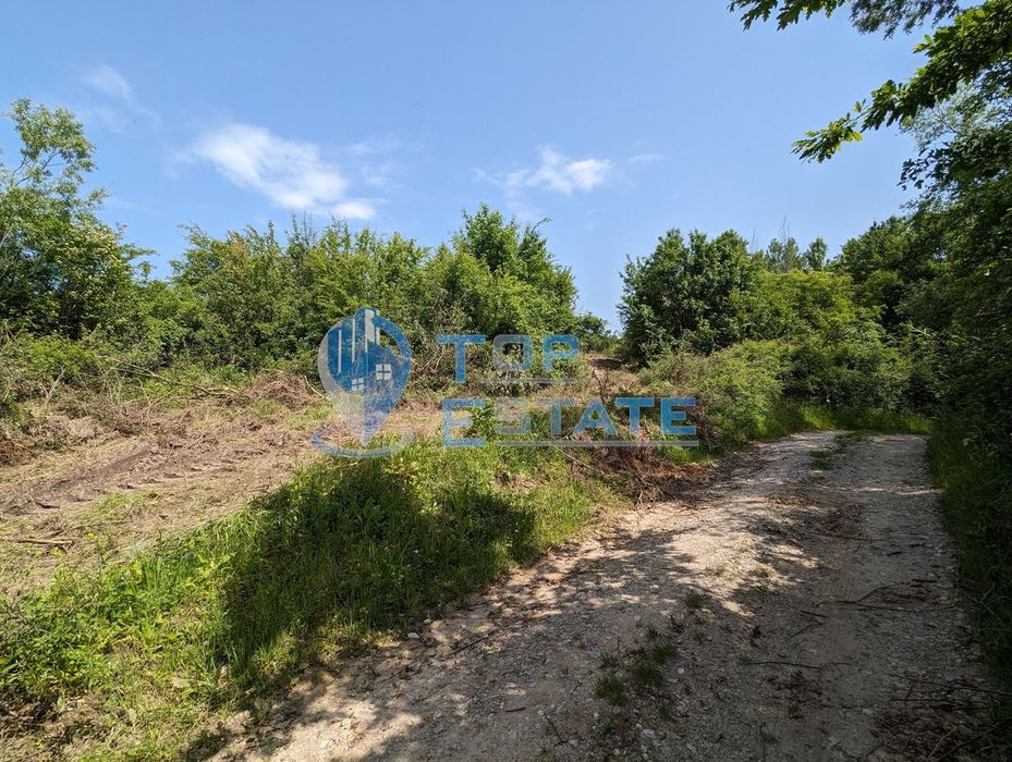 Парцел за жилищно строителство в село Войнежа