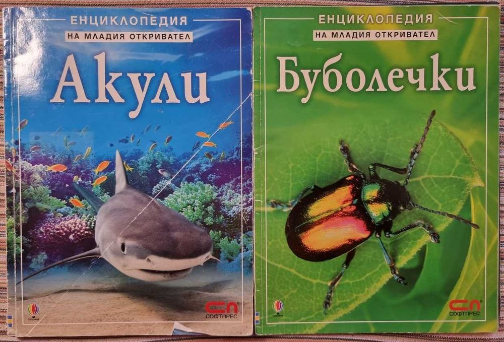 Комплект: Големи котки/Акули/Буболечки