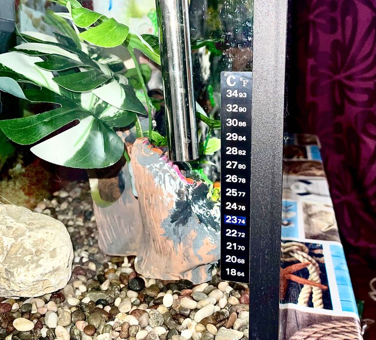 Продается Аквариум