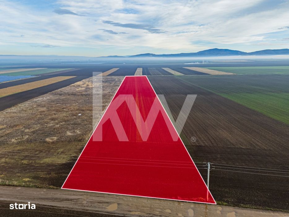 Teren exceptional pentru investitii industriale langa Brasov