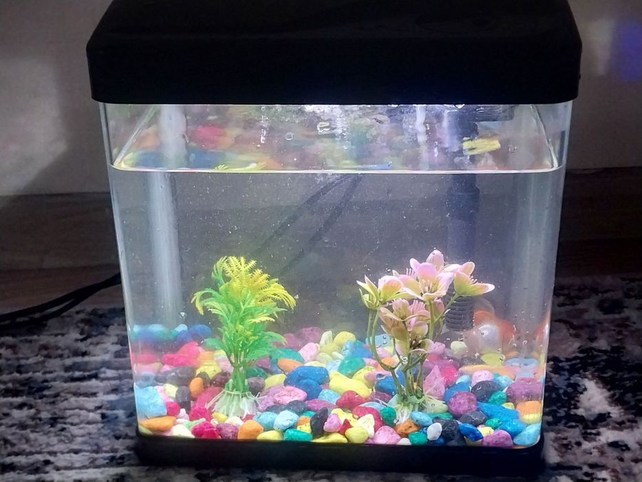 Продам продам продам аквариум