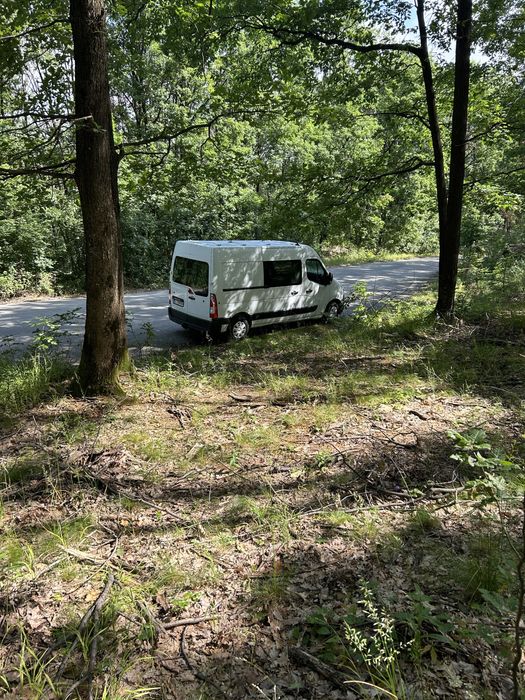 RENAULT Master 2012 — imagine 2