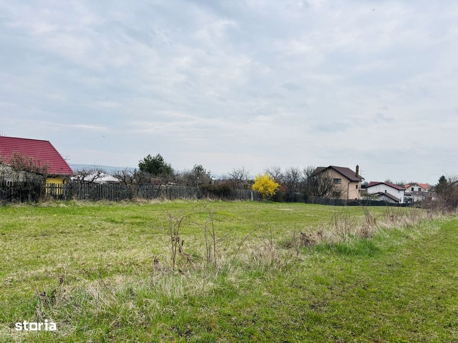 Teren intravilan Nicolae Corches