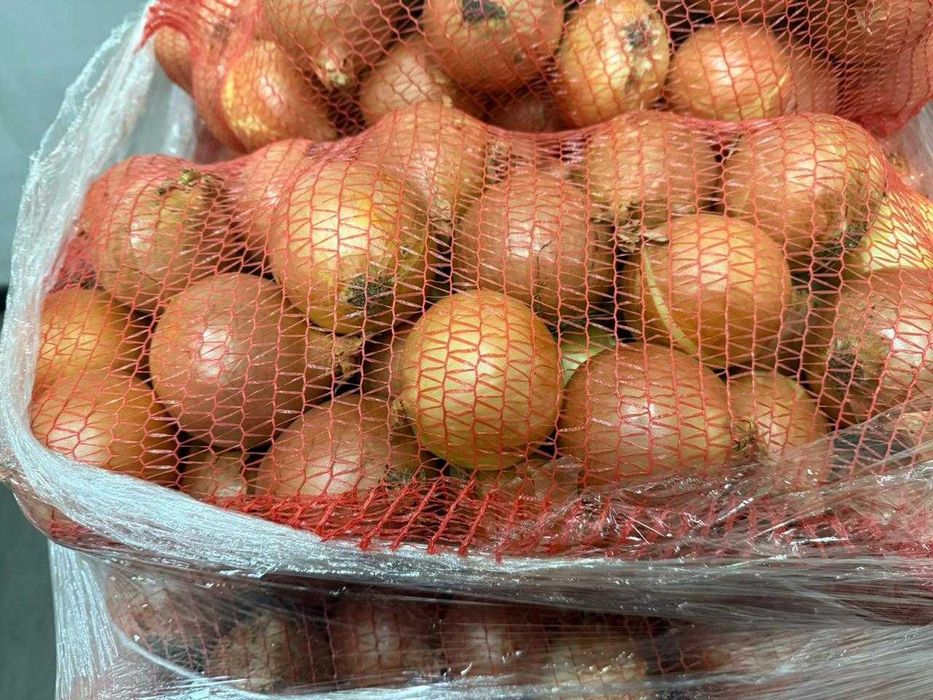 Ceapa ambalata la saci de 10 KG