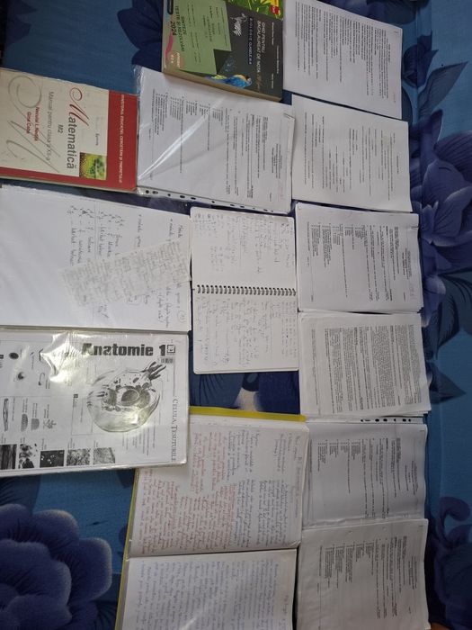 Materiale Bacalaureat