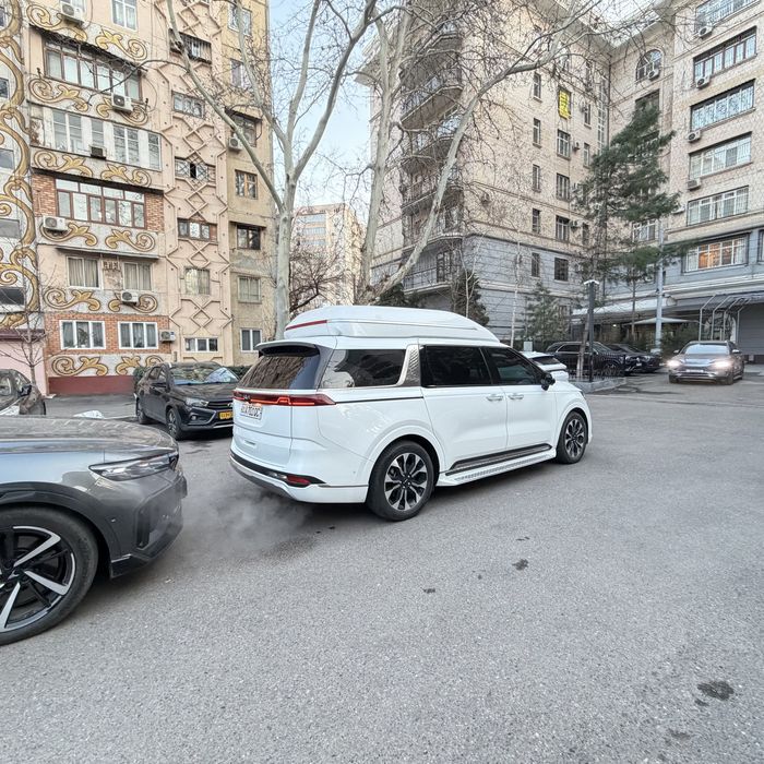 Kia Carnival High Limousine в идеале