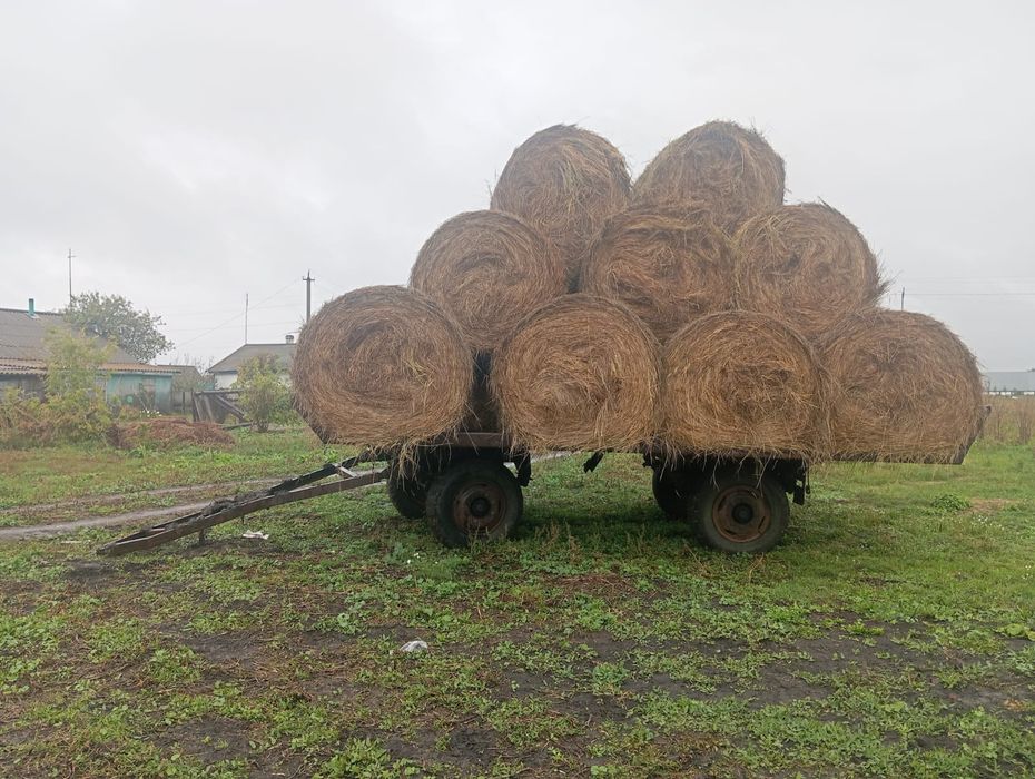Продам сеновозку