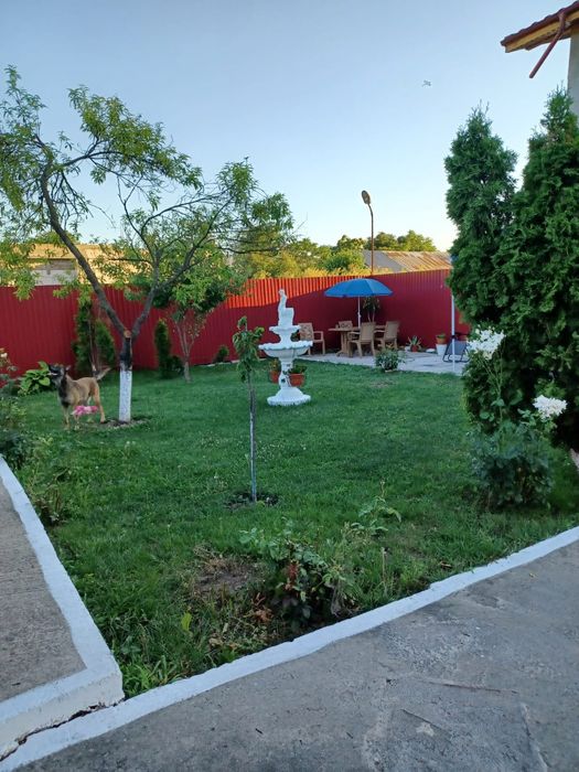 Vand vila, stefanestii de jos