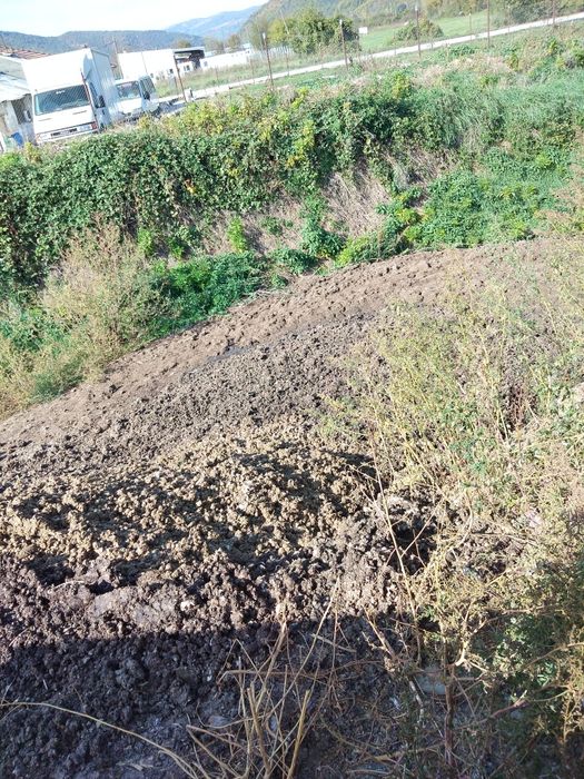 тор-птича тор--чиста