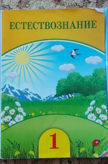 Естествознание 1 класс книга