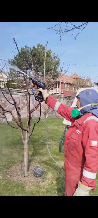 Обрезка деревьев. Обработка деревьев