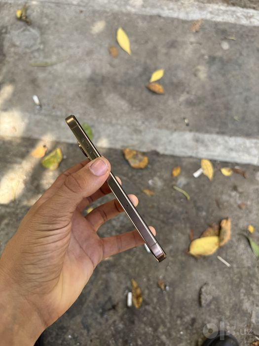 Iphone 16 pro ideal