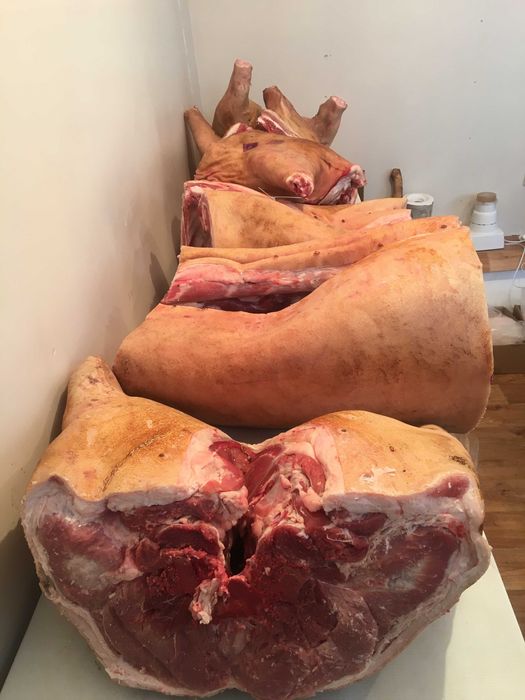 предлагаю мясо свинины в алматы