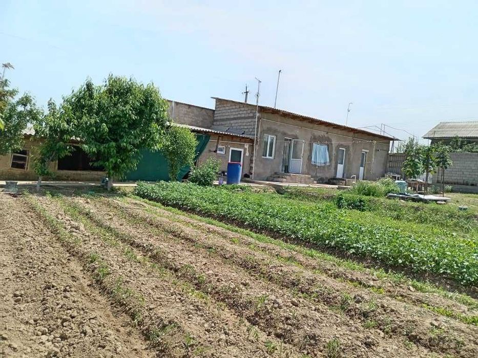 Уй сотила ховли ер