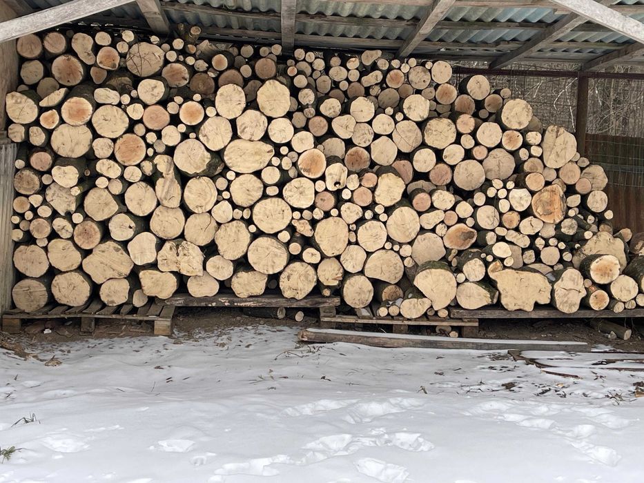 Depozit Botosani lemn de foc verde sau uscat