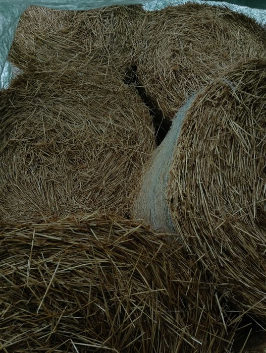 Baloti de paie tinuti la adapost 120.120