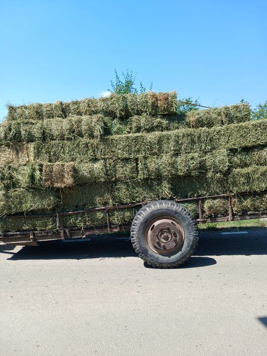 De vânzare baloți