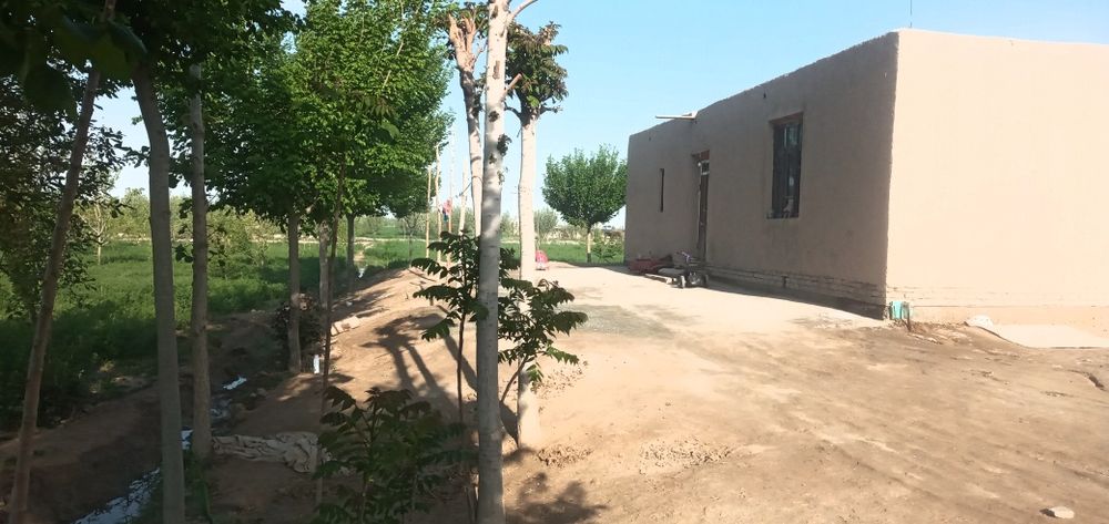Uy Sotiladi !!! Narxi 800 miliyon kelishiladi