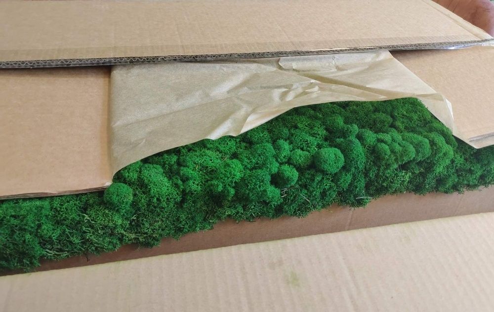 ПРЕМУИМ декоративен скандинавски стабилизиран мъх - на едро и дребно