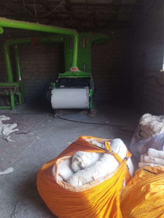 Sifatli paxta titish