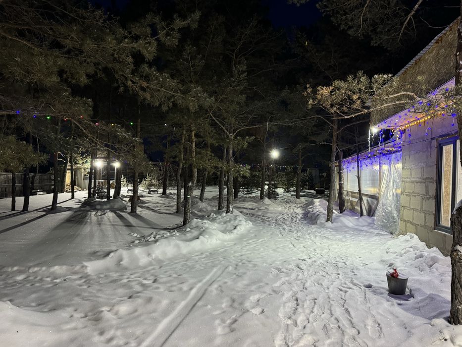 Дом, мангал, беседка в лесу