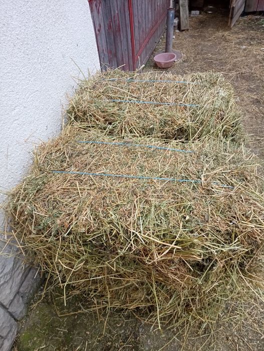 Vând Baloti Lucerna Coasa 1 si 2