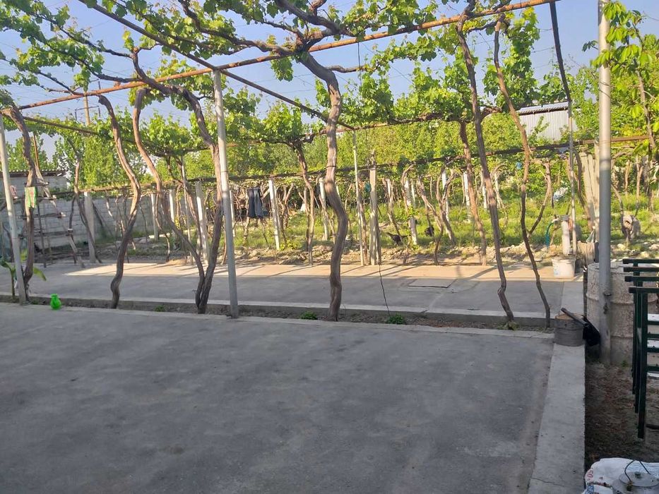 Qumtepa bozori oldida Hovli uy sotiladi