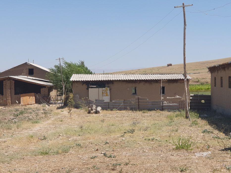 Payariqda tayyor ferma xovli sotiladi 1.5 gektar yoki barter