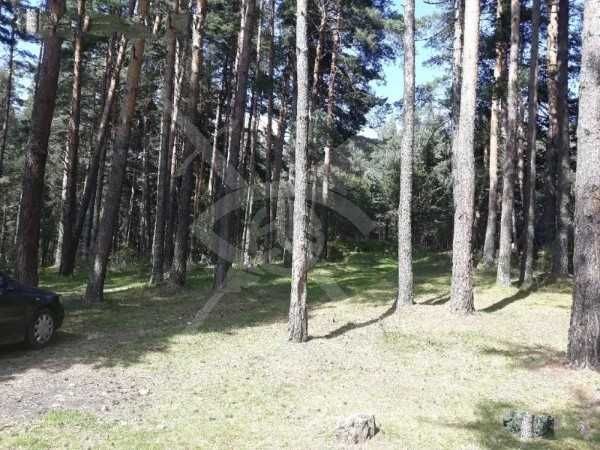 Продава се Парцел в с. Студенец, Област Смолян - 10756 кв.м за 6 €/кв.м - Снимка #1