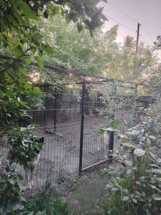 Продаётся дом район жби