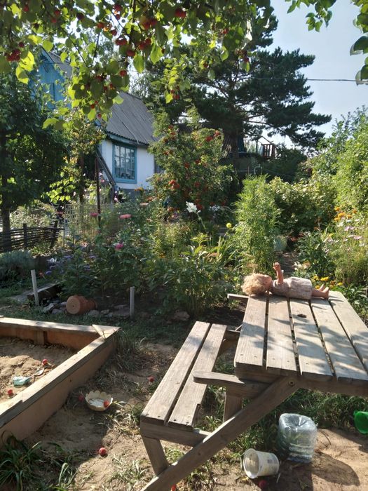 Продам красивую  дачу