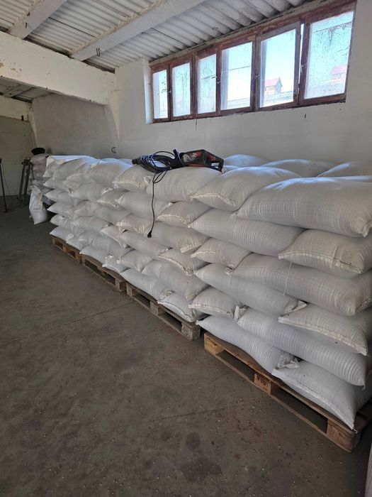 Ovaz negru ,insacuit egalizat !