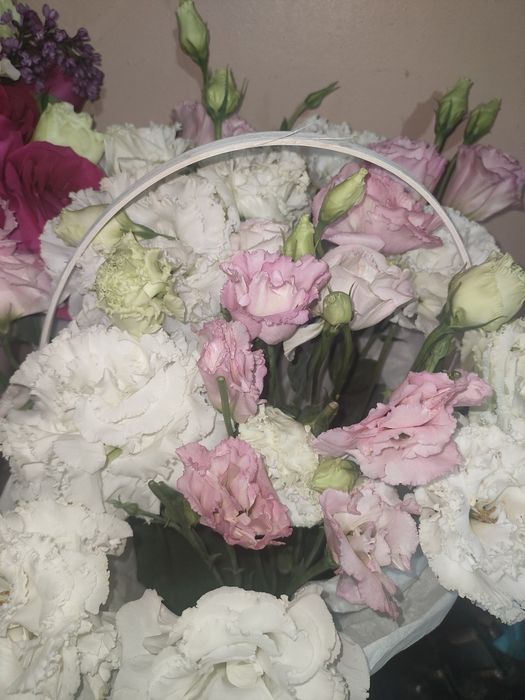 Бу әдемі гүлдер сіздерді күтеді