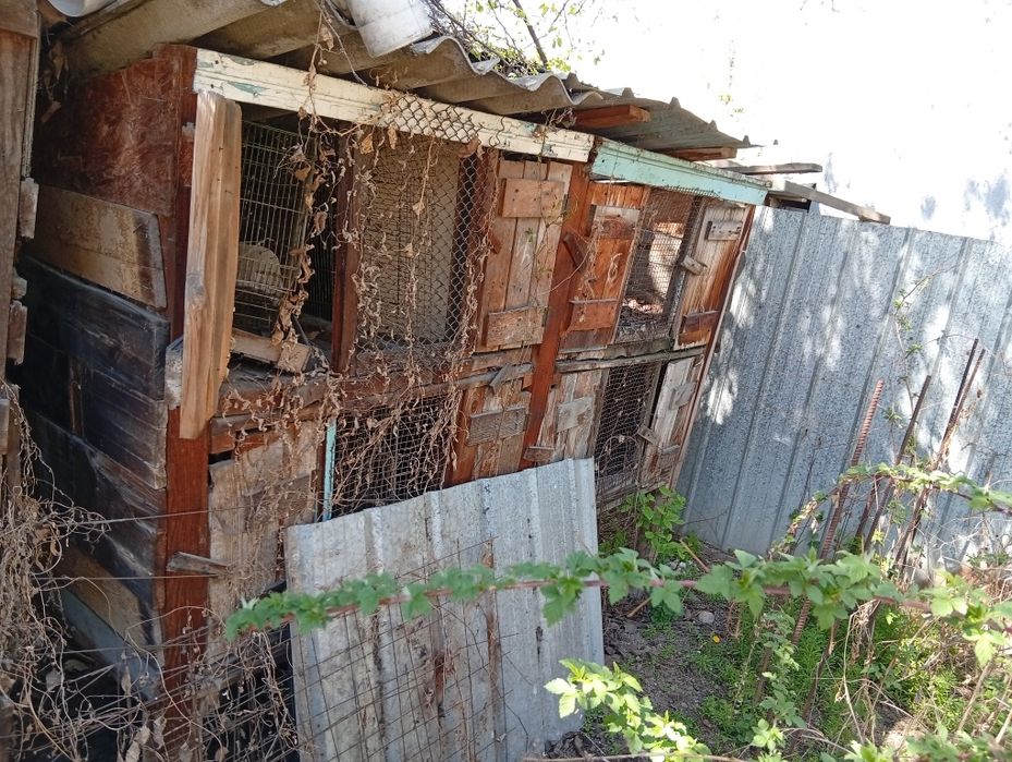 Клетки для кроликов