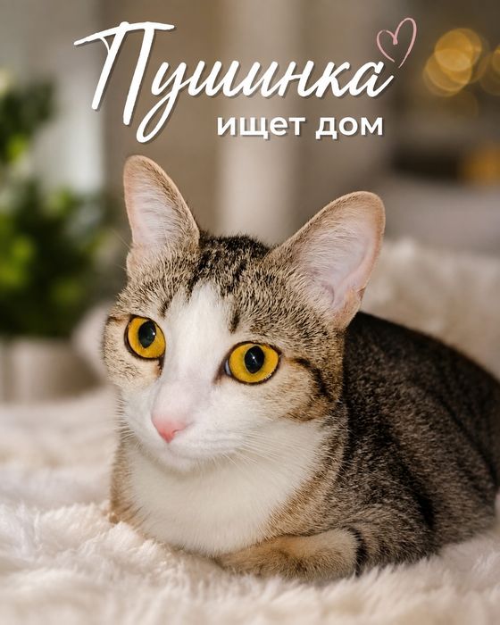 Пушинка красивая девочка