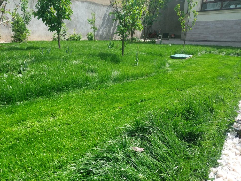 *Стрижка газона *Денис