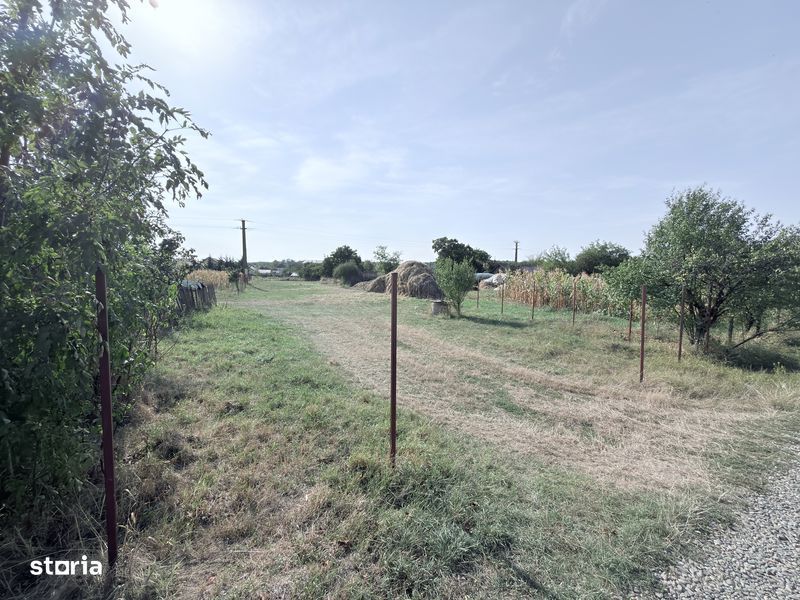 1280mp teren intravilan la Cucorani