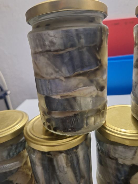 Паламуд чернокоп сафрид зарган и барбун