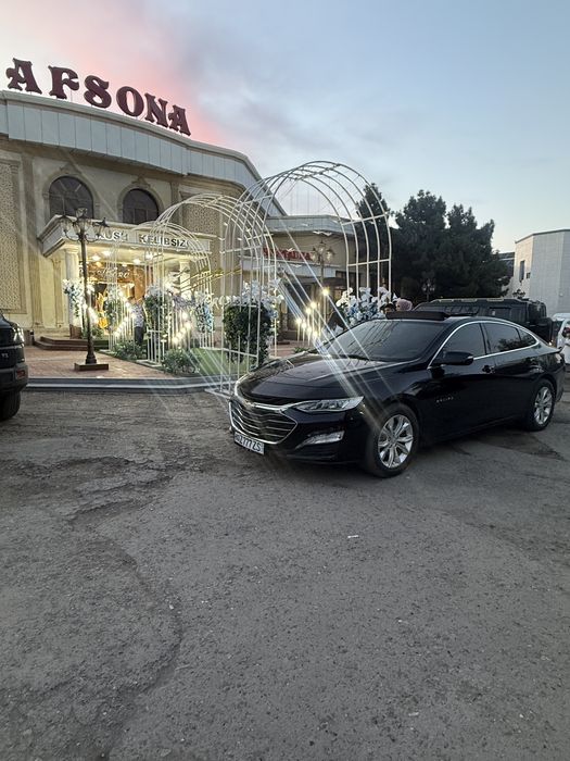 Kortej Buxara Tahoe Tayota Mers Malibu 2 xizmati