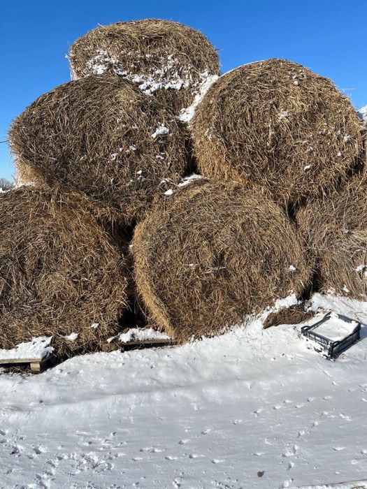 Продаю сено.  Тюк