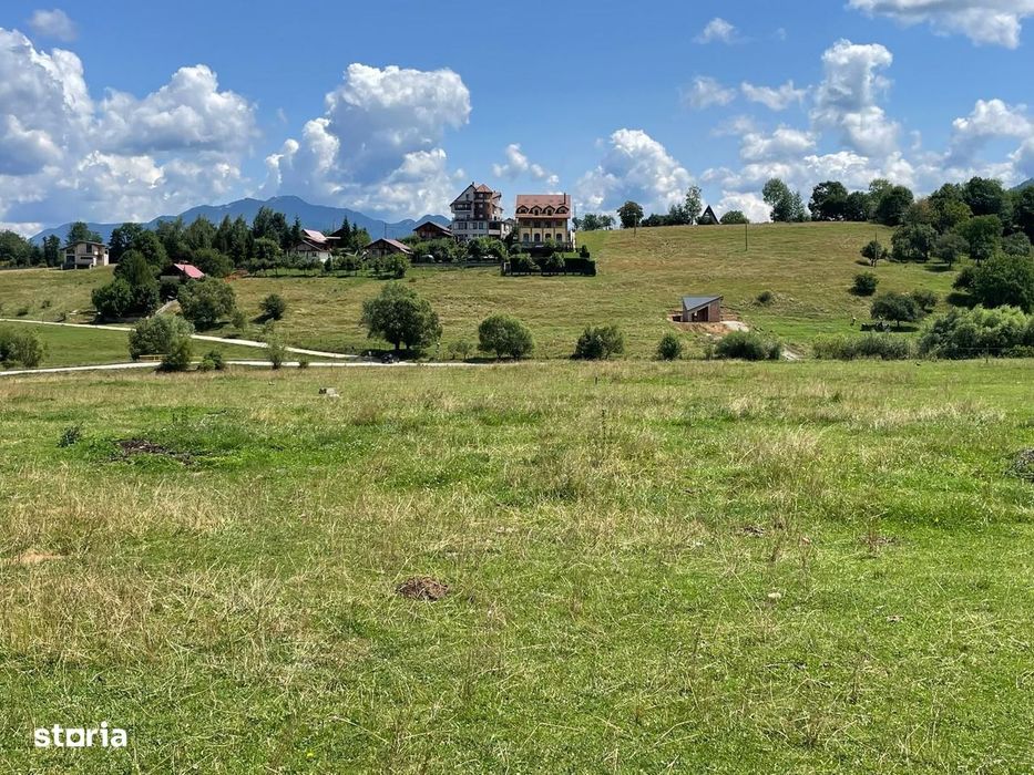INVESTIȚIE | Teren 5000 mp PUZ APROBAT intravilan - zona Sohodol -Bran