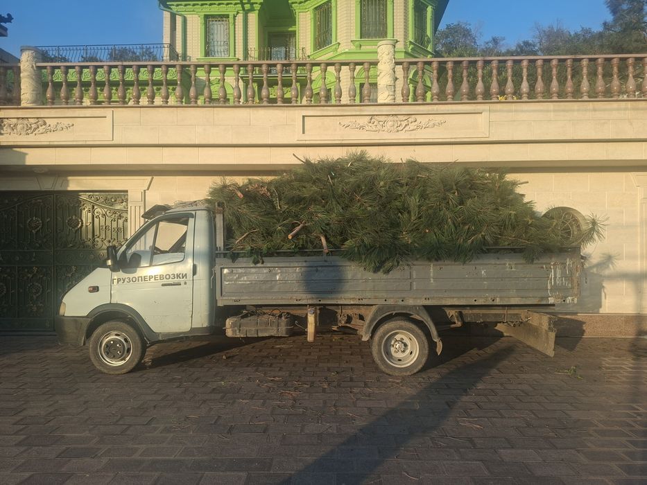 Вывоз мусора под ваше бюджет